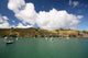 sailboats at waiheke island Wall Mural