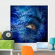 Brown Eye Looking up Wall Mural
