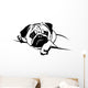 Mops Pug