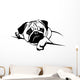 Mops Pug