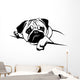 Mops Pug