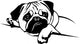 Mops Pug