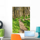 Forest with Path