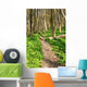Forest with Path