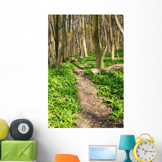 Forest with Path