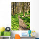 Forest with Path