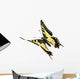 Common Swallowtail Papilio Machaon