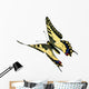 Common Swallowtail Papilio Machaon