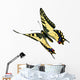Common Swallowtail Papilio Machaon