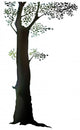 Tree Wall Mural