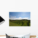 Vineyard Alignment Wall Mural