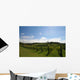 Vineyard Alignment Wall Mural