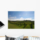 Vineyard Alignment Wall Mural
