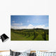 Vineyard Alignment Wall Mural