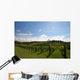Vineyard Alignment Wall Mural