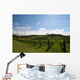 Vineyard Alignment Wall Mural