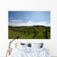 Vineyard Alignment Wall Mural