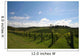 Vineyard Alignment Wall Mural