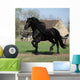 Gorgeous Friesian Stallion with Wall Mural