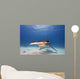 Great Hammerhead