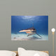 Great Hammerhead
