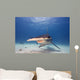 Great Hammerhead