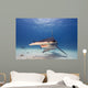 Great Hammerhead