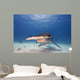 Great Hammerhead