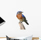 Bluebird Perch with White