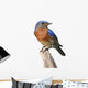 Bluebird Perch with White