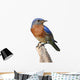 Bluebird Perch with White