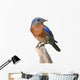 Bluebird Perch with White