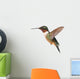 Ruby-throated Hummingbird