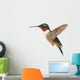 Ruby-throated Hummingbird