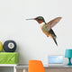 Ruby-throated Hummingbird