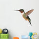 Ruby-throated Hummingbird