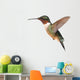 Ruby-throated Hummingbird