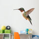 Ruby-throated Hummingbird