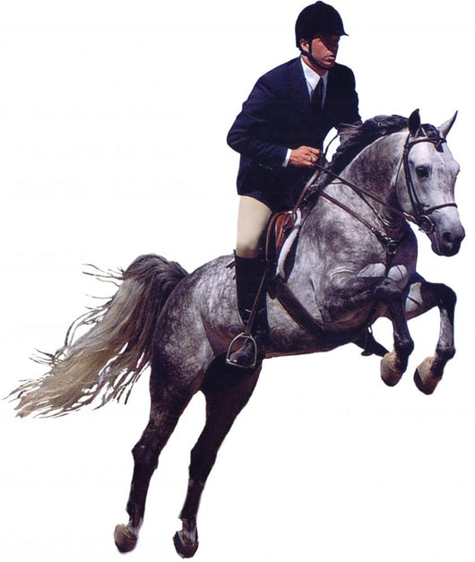 Equestrian Jumping Horse Wall Decal