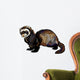 ferret Wall Decal