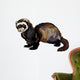 ferret Wall Decal