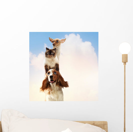 Three home pets Wall Mural