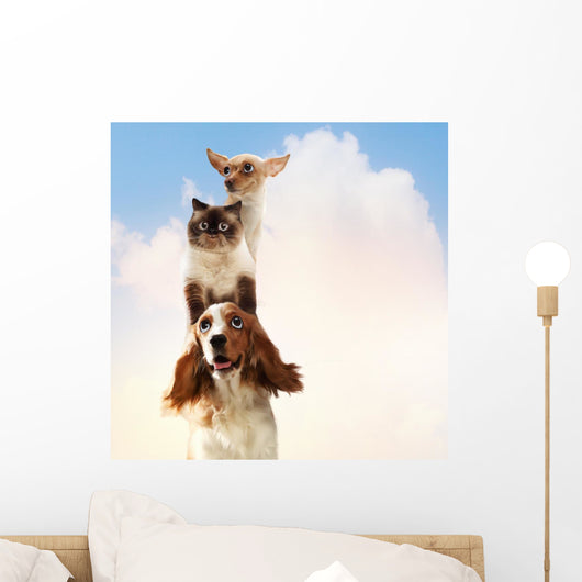Three home pets Wall Mural