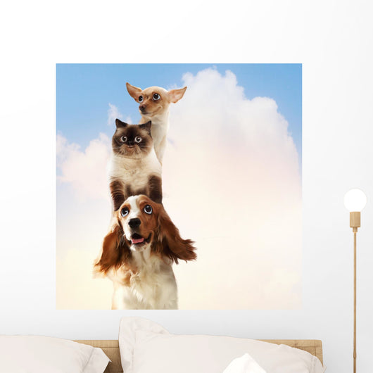 Three home pets Wall Mural