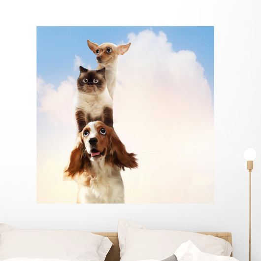 Three home pets Wall Mural