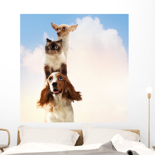 Three home pets Wall Mural
