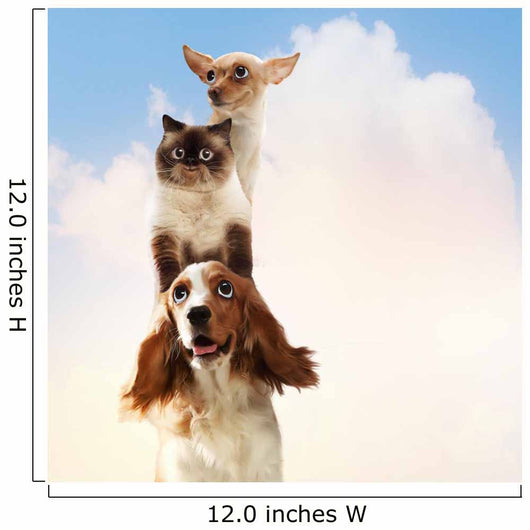 Three home pets Wall Mural