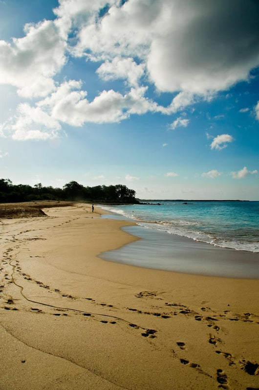 Sand Sea and Footprints