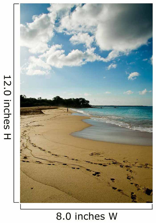 Sand Sea and Footprints