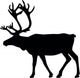 Moose antlers Wall Decal